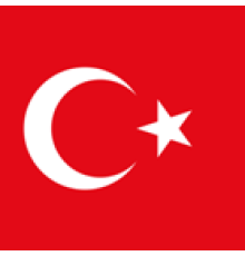 Proxy Ipv4 | Турция | 30 дней Безлимит по GB (Подходит под всё). Ручная выдача